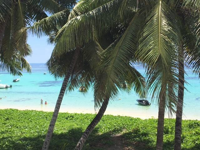 Shanaz Beachside Retreat Anse Royale Exterior photo
